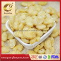 Hot Sale Roasted Salted Broad Beans with Ce